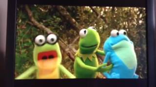 Kermits Swamp Years Frogs Fighting Frogs Widescreen [upl. by Nortad935]