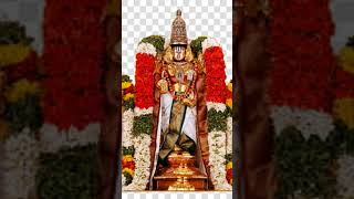 Sri Srinivasam [upl. by Maxey]