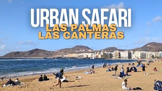 A walk in Las Palmas of Gran Canaria Canary Islands Las Canteras 4K60fps [upl. by Aizat178]