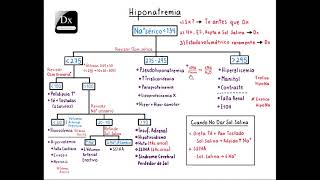 Hiponatremia  Español [upl. by Ttihw]