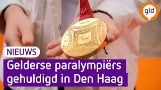 Paralympische medaillewinnaars gehuldigd door de koning [upl. by Lola119]