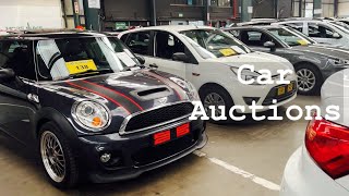 All You Need to Know About Car Auctions in South Africa [upl. by Yordan]