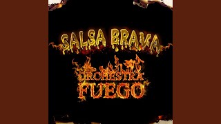 Salsa Brava [upl. by Yeoz]