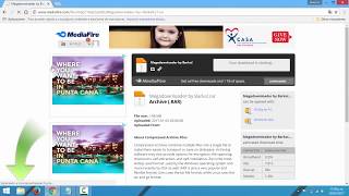 Como Descargar Megadownloader 17 Mediafire [upl. by Margreta]