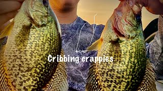 Cribbing crappies [upl. by Beverly254]