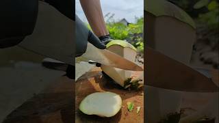 soft coconut peeling cutting skill coconut youtubeshorts [upl. by Nywra]