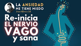 ANSIEDAD REINICIA EL NERVIO VAGO Y CALMA TU SISTEMA NERVIOSO [upl. by Ailegra]