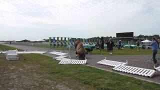 HT VIDEO Rogue horse at Pentathlon [upl. by Salocin579]