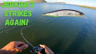 Epic Winter Jerkbait Fishing California Kayak Bass Fishing [upl. by Eastlake]