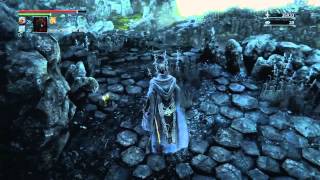 Bloodborne Easy x2 Blood Stone Chunks [upl. by Nikolaos476]