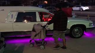 the haunted rose Whittier California hearse show [upl. by Enohpesrep]