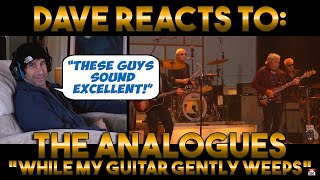 Daves Reaction The Analogues — While My Guitar Gently Weeps [upl. by Ynehpets]