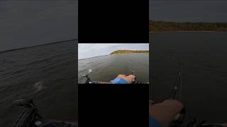 🔥 Catching Spotted Bass on the Alabama Rig 🎣 fishin trending shorts bassfishing lake [upl. by Carew]