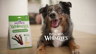 WHIMZEES Dog Dental Treats 15s [upl. by Carthy]