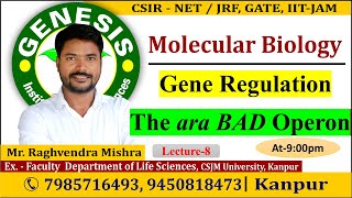 Arabinose Operon  Gene Regulation Lecture8  CSIR NETJRF  Life science [upl. by Tnert]