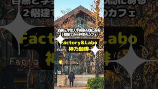 【SNSで話題】開放感満点カフェ「Factory amp Labo 神乃珈琲」｜学芸大学 shorts 神乃珈琲 カフェ 学芸大学 デートスポット [upl. by Adena]