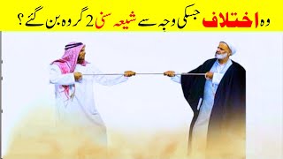 Main difference between Shia and Sunni Muslims  5Minut Info [upl. by Vyse38]