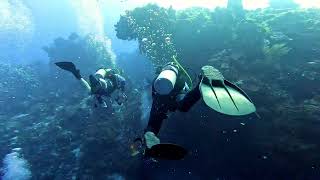 Cozumel Diving  Colombia Deep [upl. by Sotos]