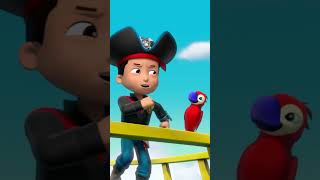 PAW Patrol  PAW Patrol singen das Piratenlied Shorts [upl. by Ellenehs]