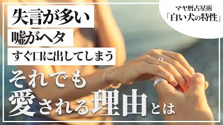 【マヤ暦占い】白い犬の特徴とは？大泉洋さんやバナナマン設楽さんに共通する愛されながら開運していく【マヤ暦講座】 [upl. by Huda]