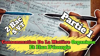 🔥🔥 Consommation De La Matière Organique Et Flux dénergie 🔻 Partie 1 🔻 2 Bac BIOF SVT 🔻1èr chapitre🔻 [upl. by Berri334]