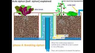 Aquaponics Auto Siphon or Bell Siphon [upl. by Eeleak]