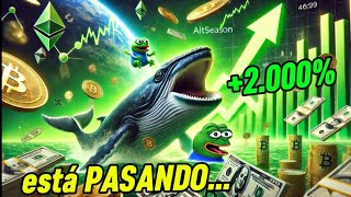 🟢MUCHA GENTE NO LO SABE🐸 el MAYOR ESTALLIDO ALTCOIN en la HISTORIA✅PEPE a punto de EXPLOTAR 2000 [upl. by Deborath]