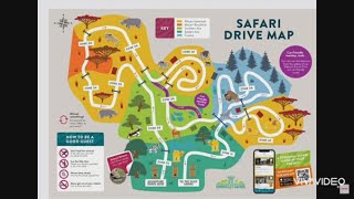 Safari Drive at Knowsley Safari Park Liverpool UK 🇬🇧 🇬🇧  liverpool safari drive driving [upl. by Kylynn364]