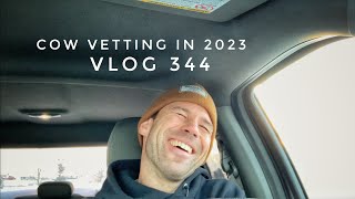 Cow Vetting in 2023 vlog 343 [upl. by Megdal100]