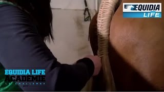 TUTO Comment tresser la queue de votre cheval [upl. by Alegnaed]