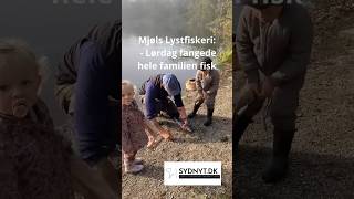 Mjøls Lystfiskeri  Hele familien fangede fisk… [upl. by Thay]