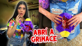 ABRÍ un PELUCHE de GRIMACE y esto pasó😰🟣  Ani Cat😻 [upl. by Dory]