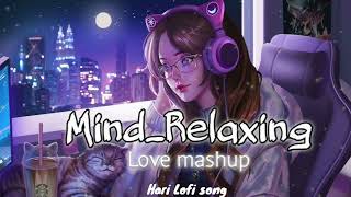 Without You Mashup 2024  Hari Lofi song  Emotional Chillout mashup song [upl. by Barbette]