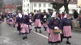 Fasnacht Umzug Gottmadingen 2013 [upl. by Nolat]