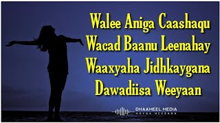 Seynab Cige Heestii  Walee Aniga Caashaqu  Hees Qaraami Xul ah With Lyrics [upl. by Ardnoet]