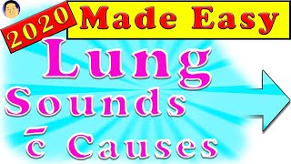 Lung sounds Types amp Causes Made SUPER Easy Abnormal Crackles Rales Wheezes Rhonchi Stridor Pleural [upl. by Justinn]