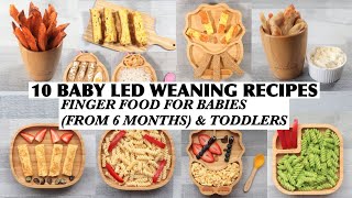 10 BABY LED WEANING RECIPES  FINGER FOOD FOR BABIES FROM 6 MONTHS amp TODDLERS  BLW 6 MONTHS RECIPES [upl. by Aicekal601]