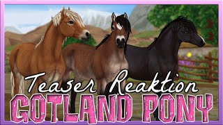 Das GOTLAND PONY 🐴💗 Star Stable Teaser Reaktion SSO [upl. by Ellinej]