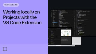 Working locally on Projects with the VS Code Extension [upl. by Ynaffet378]