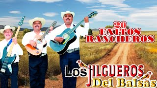 Los Jilgueros Del Balsas  Canciones y Corridos 15 Exitos Album Completo [upl. by Maier]