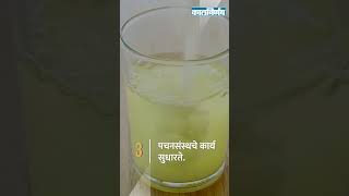 काळ्या मिठाचे फायदे  Health Benefits Of Black Salt  Kalnirnay  Kalnirnay Tips [upl. by Edieh679]