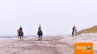 Reiterferien und Reiturlaub  vom Reiten auf dem Lande bis zum Strandreiten an der Ostsee [upl. by Moreland]