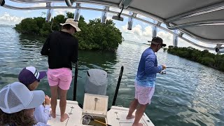 Key West Fishing amp Sandbar Charter [upl. by Rhona565]