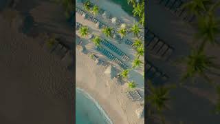 Hyatt Zilara Rose Hall adultsonly allinclusive resort in Montego Bay Jamaica [upl. by Gruber]