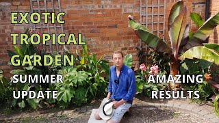 Exotic Tropical Garden Tour Banana Plants canna tetrapanax ginger crinum colocasia [upl. by Anived]