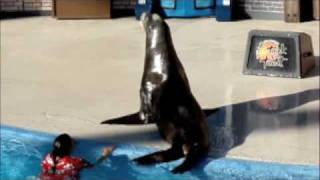 Clyde and Seamores Trick or Treat Show at SeaWorld San Diego 103109 Part2 [upl. by Hahsia830]