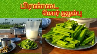 Pirandai More Kulambu பிரண்டை மோர் குழம்பு [upl. by Matthew]