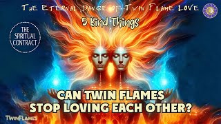 Can Twin Flames Stop Loving Each Other 5 Things That Bind Twin Flame Love Together [upl. by Mccomb]