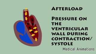 Preload VS Afterload [upl. by Irovi]