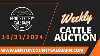 10312024  Cattle Auction  Benton County Sale Barn [upl. by Ennazzus]